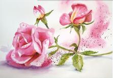 roses-a-l-aquarelle
