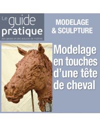 Modelage en touches d'une tête de cheval - Guide Pratique Numérique