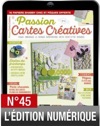 TÉLÉCHARGEMENT : Passion Cartes Créatives 45 en version numérique