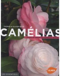 Camélias - Choisir et cultiver les meilleures variétés