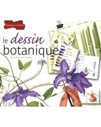 Le dessin botanique 
