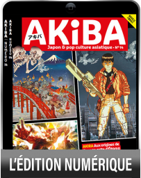 TÉLÉCHARGEMENT : Exploration : Les multiples visages de la Pop Culture - AKIBA n°14