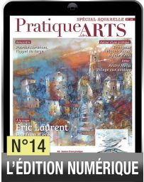 TÉLÉCHARGEMENT - Cahier spécial aquarelle 14 - Pratique des arts