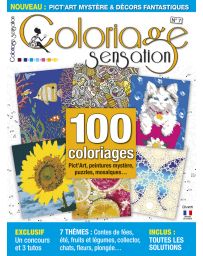 Coloriage Sensation n°7 - Pict'Art, peintures et puzzles mystères, mosaïques à colorier…