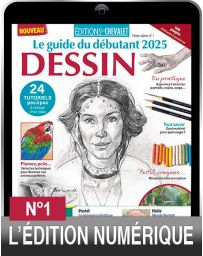 TELECHARGEMENT : Maîtrisez le DESSIN - Editions du Chevalet Hors-série n°1-2025