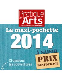 Collection Pratique des Arts 2014 : 6 numéros collectors