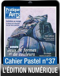 Téléchargement du Cahier spécial Pastel n°37 - Pratique des Arts