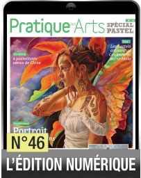 TELECHARGEMENT : Cahier Spécial Pastel n°46 - Pratique des Arts