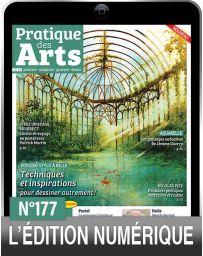 TÉLÉCHARGEMENT : Pratique des Arts 177 en version numérique