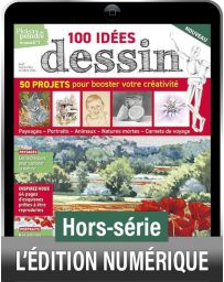 TELECHARGEMENT : 100 idées DESSIN - Plaisirs de Peindre hors-série