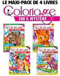 Pack de 4 livres de Coloriages Mystère