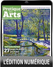 Pratique des Arts 186 - Lumières, Portraits et Paysages d'exception - Version numérique
