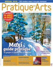 Pratique des Arts 144 - Avec un maxi Guide Pratique