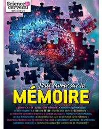 Tout savoir sur la mémoire - Science et cerveau HS n°6