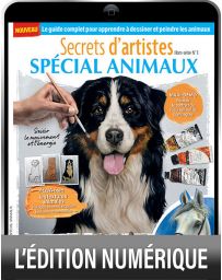 TÉLÉCHARGEMENT - Spécial Animaux - Secrets d'artistes hors-série n°1 TÉLÉCHARGEMENT - Spécial Animaux - Secrets d'artistes hors-série n°1