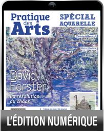 TÉLÉCHARGEMENT : Cahier spécial AQUARELLE 54 - Pratique des Arts -