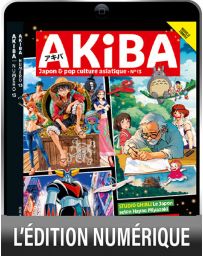 TÉLÉCHARGEMENT : Collector 2025 - AKIBA n°13