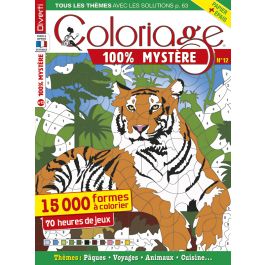 Coloriage 100% Mystère 12 - 15 000 formes à colorier