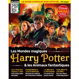 Harry Potter a 20 ans au cinéma : 5 éditions exceptionnelles pour  redécouvrir la saga culte
