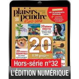 Le magazine Plaisirs de peindre hors-série numéro 25