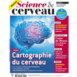 Cahier dexercices de 1ere annee de quete du cerveau