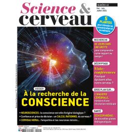 Science et Cerveau 10 - A la recherche de la conscience Diverti Editions