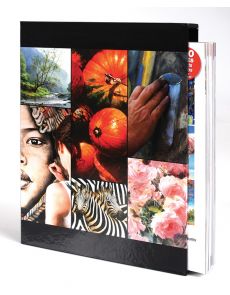 Art of Painting Box Set - Contains 4 issues collection