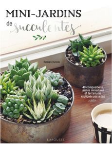 Mini-Jardins de succulentes - 40 compositions, jardin miniatures et terrariums en pas à pas