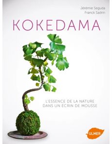 Kokedama - L'essence de la nature dans un écrin de mousse