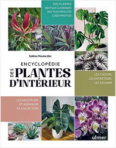 Encyclopédie des plantes d'intérieur - Par Solène Moutardier