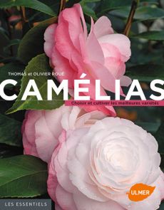 Camélias - Choisir et cultiver les meilleures variétés