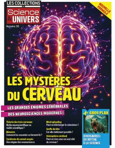 Les mystères du cerveau - Les Collections de Science et Univers 30