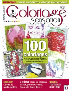 Coloriage Sensation n°6 - 100 coloriages Word Art, peintures mystère, puzzles, points à relier