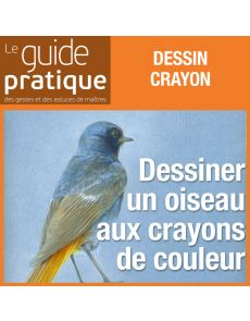 Dessiner un oiseau aux crayons de couleur - Guide Pratique Numérique