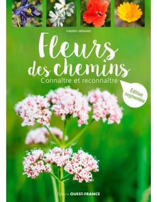 Fleurs des Chemins - Thierry Menard