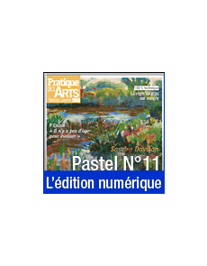 Téléchargement du Cahier spécial Pastel n°11 - Pratique des Arts