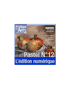 Téléchargement du Cahier spécial Pastel n°12 - Pratique des Arts