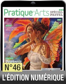 TELECHARGEMENT : Cahier Spécial Pastel n°46 - Pratique des Arts