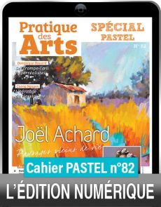 TÉLÉCHARGEMENT - Cahier spécial PASTEL 82 - Pratique des Arts