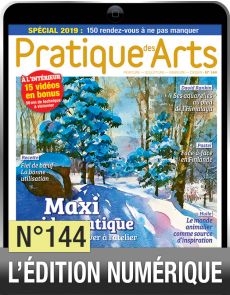 TELECHARGEMENT - Pratique des Arts 144 - Avec un maxi Guide Pratique
