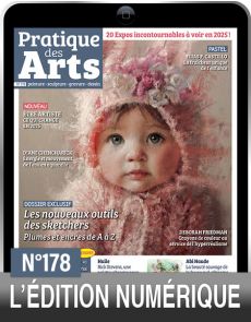 TÉLÉCHARGEMENT : Pratique des Arts 178 en version numérique