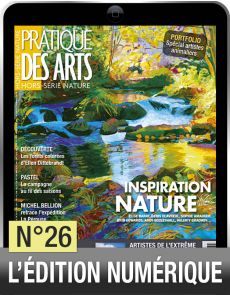 Téléchargement Hors-Série INSPIRATION NATURE n°26 Pratique des Arts