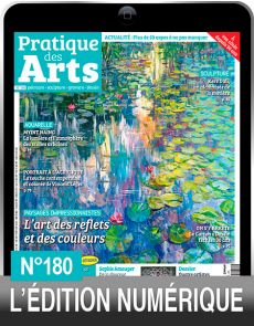 Pratique des Arts 180 - L'art des reflets et des couleurs en version numérique