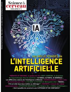 Science et cerveau HS n°05 - Les mille visages de l'intelligence artificielle
