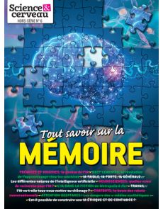 Tout savoir sur la mémoire - Science et cerveau HS n°6