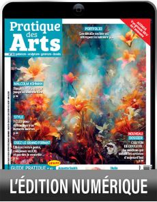 Pratique des Arts 183 - Les détails cachés qui attrapent la lumière - Version numérique