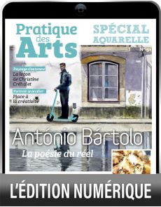 TÉLÉCHARGEMENT : Cahier spécial AQUARELLE 51 - Pratique des Arts