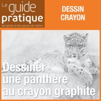 Dessiner une panthère au crayon graphite - Guide Pratique Numérique