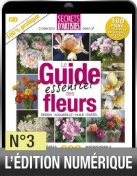 TÉLÉCHARGEMENT - Secrets d'artistes n°3 - Achat Diverti Store