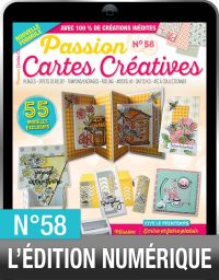 TÉLÉCHARGEMENT : Passion Cartes Créatives n°58 en version numérique